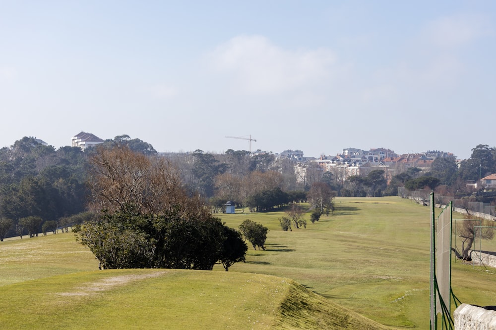 a grassy field with trees and buildings in the background