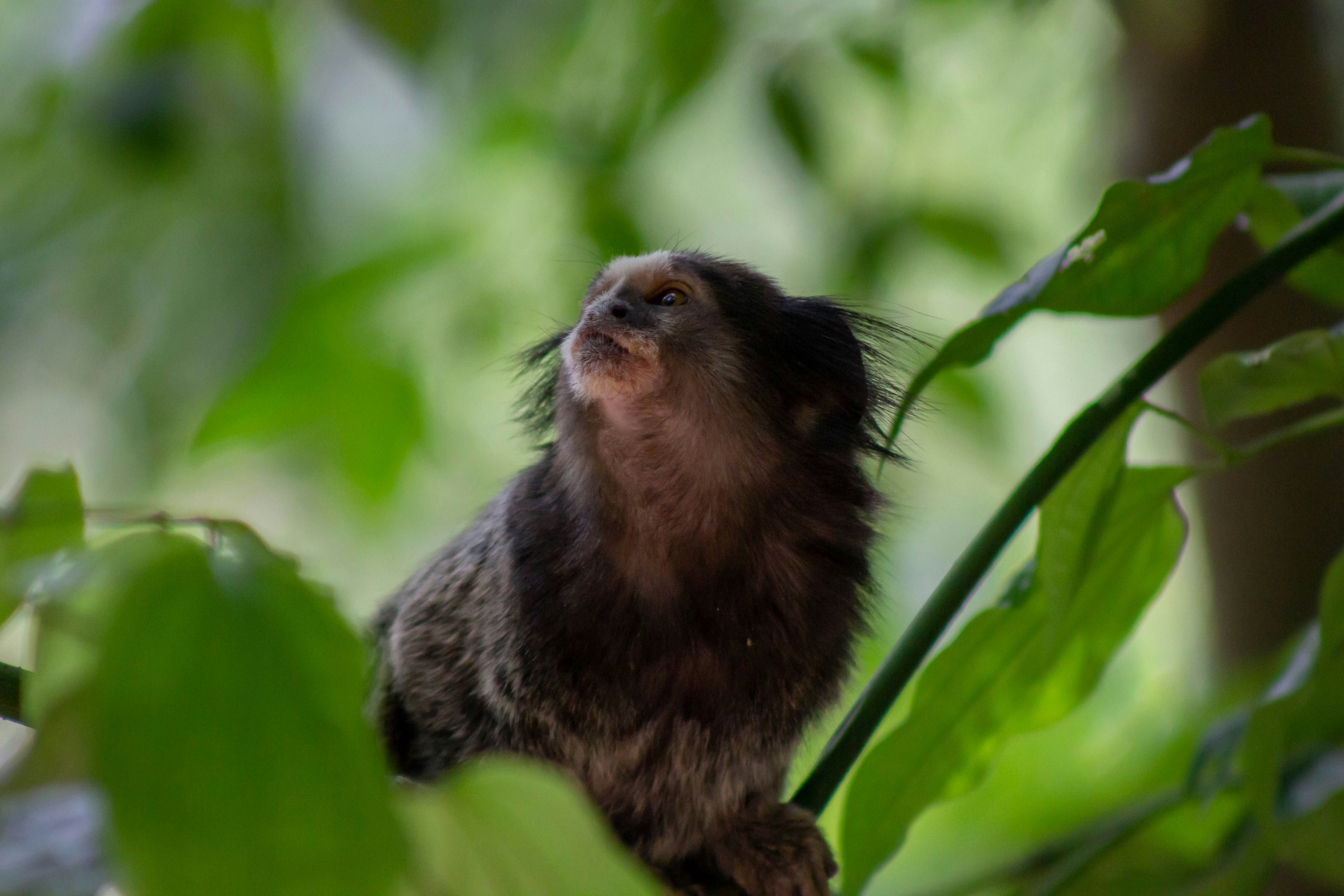 Photo by amywithacamera