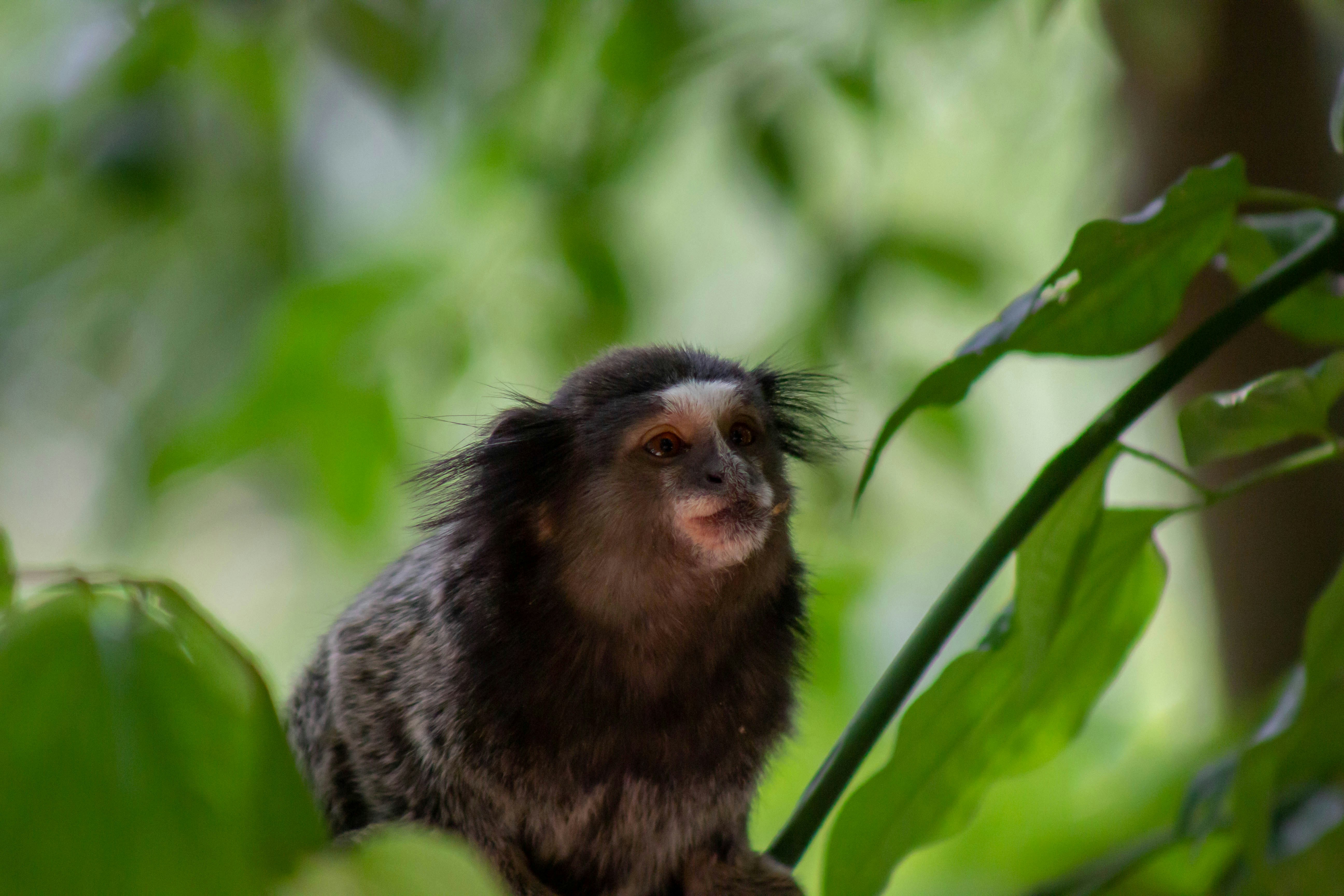 Photo by amywithacamera