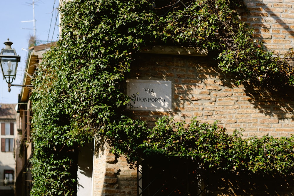 a brick building with vines growing on it