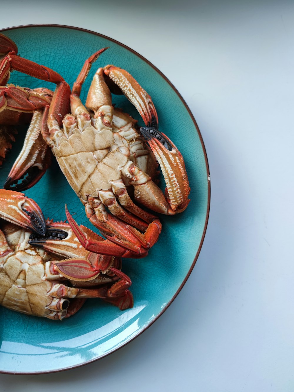 a blue plate topped with cooked crabs on top of a table