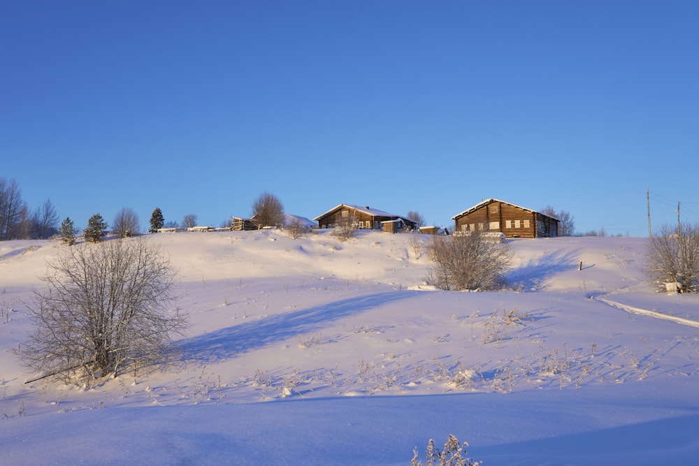 a snow covered field with a house in the distance