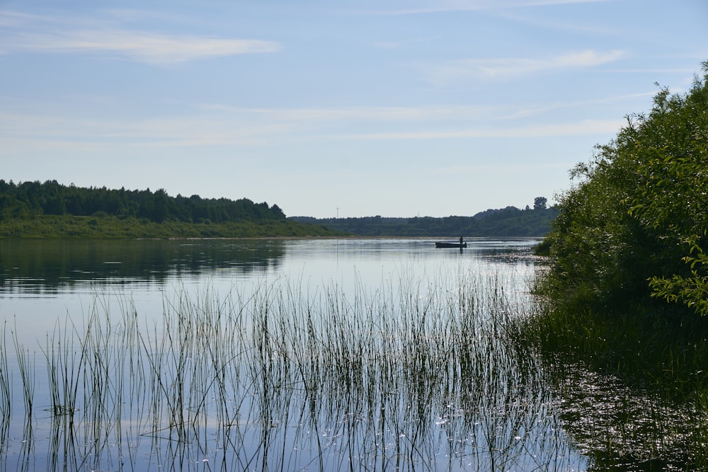 a body of water surrounded by trees and grass