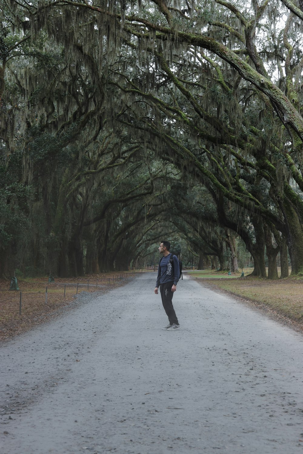 a man walking down a road surrounded by trees