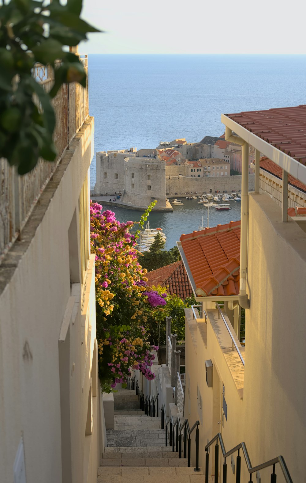 a view of the ocean from the top of a building