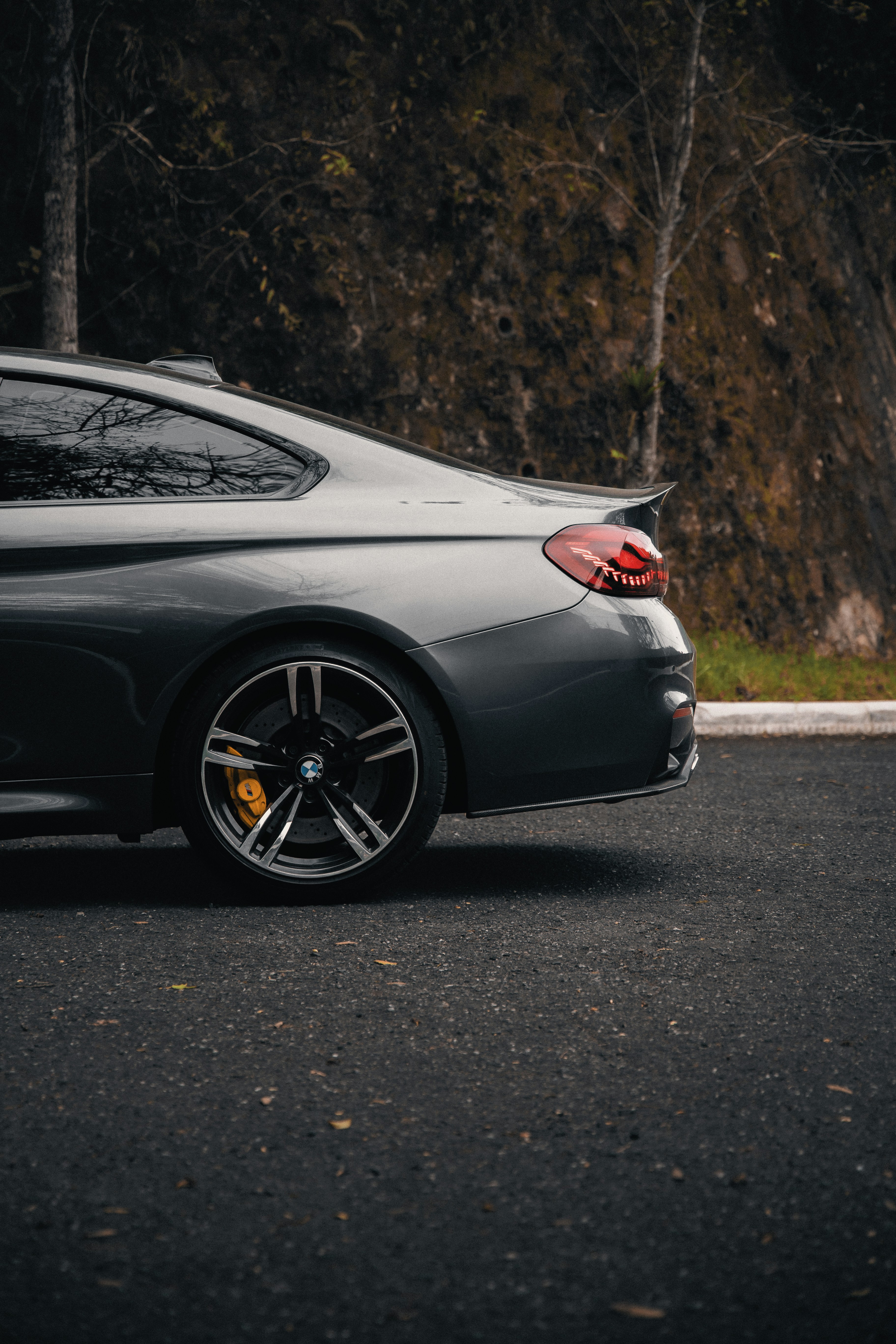 Photo by svenciupkab