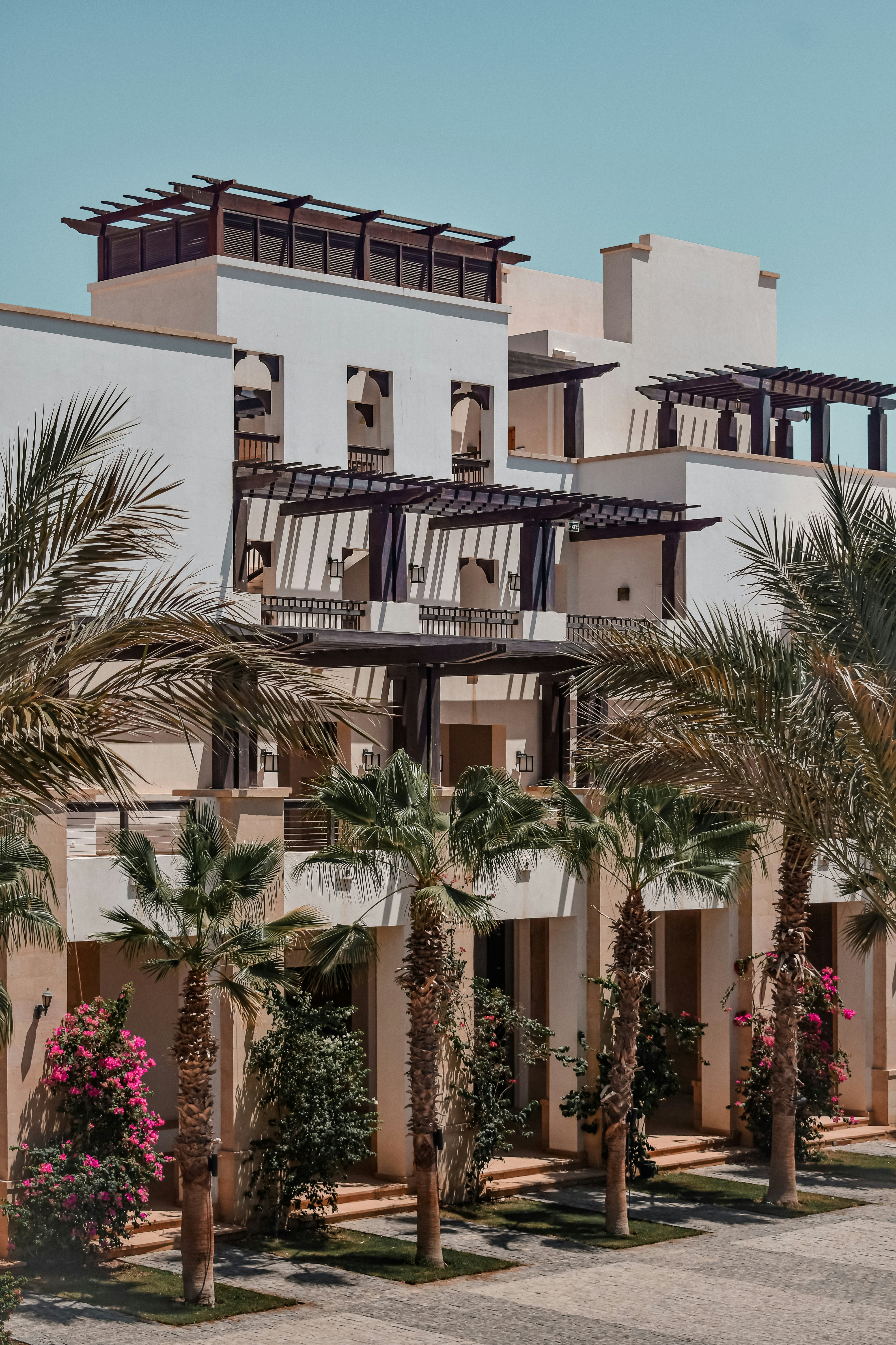 Photo by nourhan_m_sabek