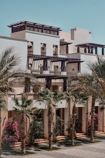 A modern building features a series of terraces with decorative pergolas on the upper floors. The facade is complemented by tall palm trees and vibrant flowering shrubs in the foreground, creating a harmonious blend of architecture and nature. The sky is clear and blue.