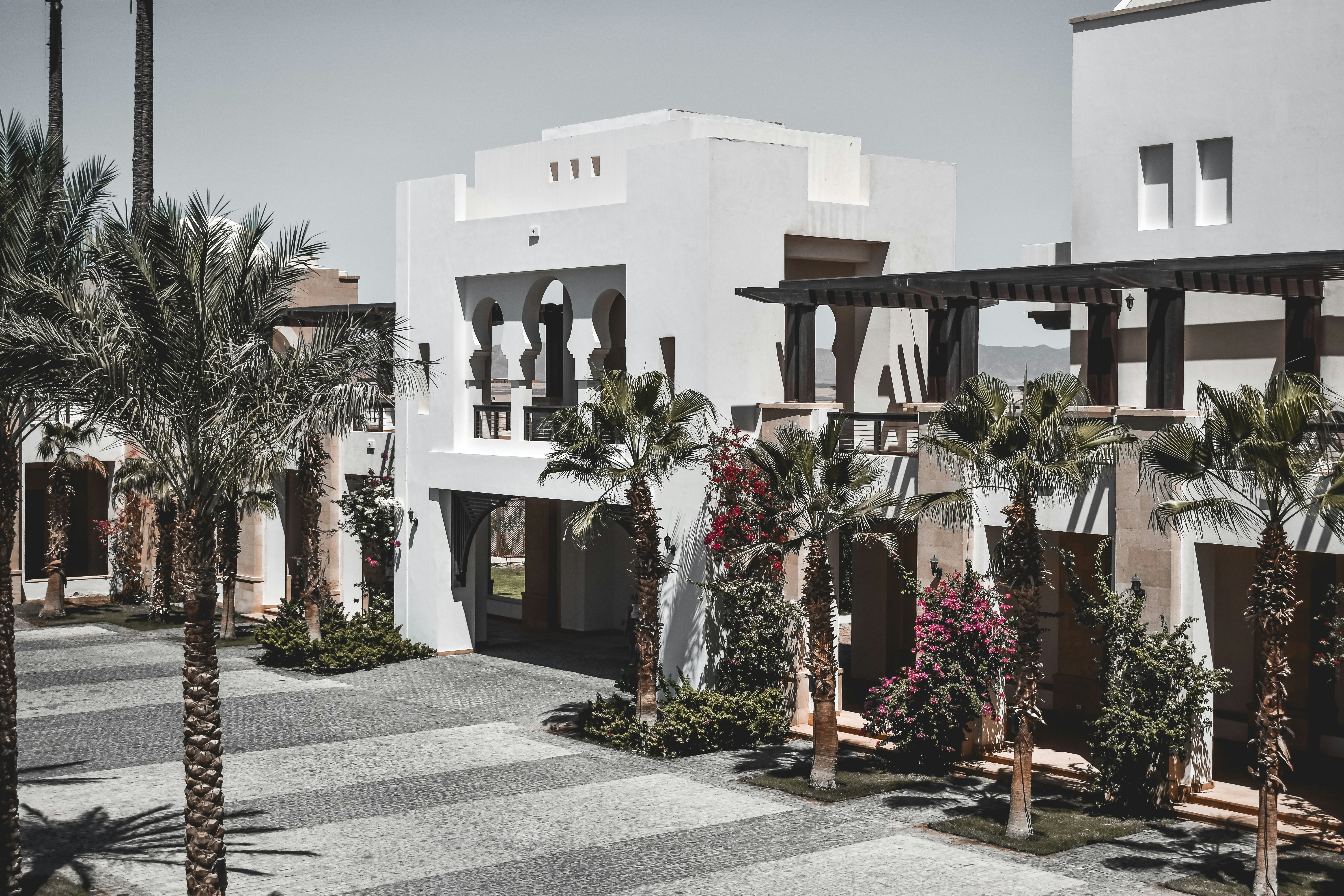 Photo by nourhan_m_sabek