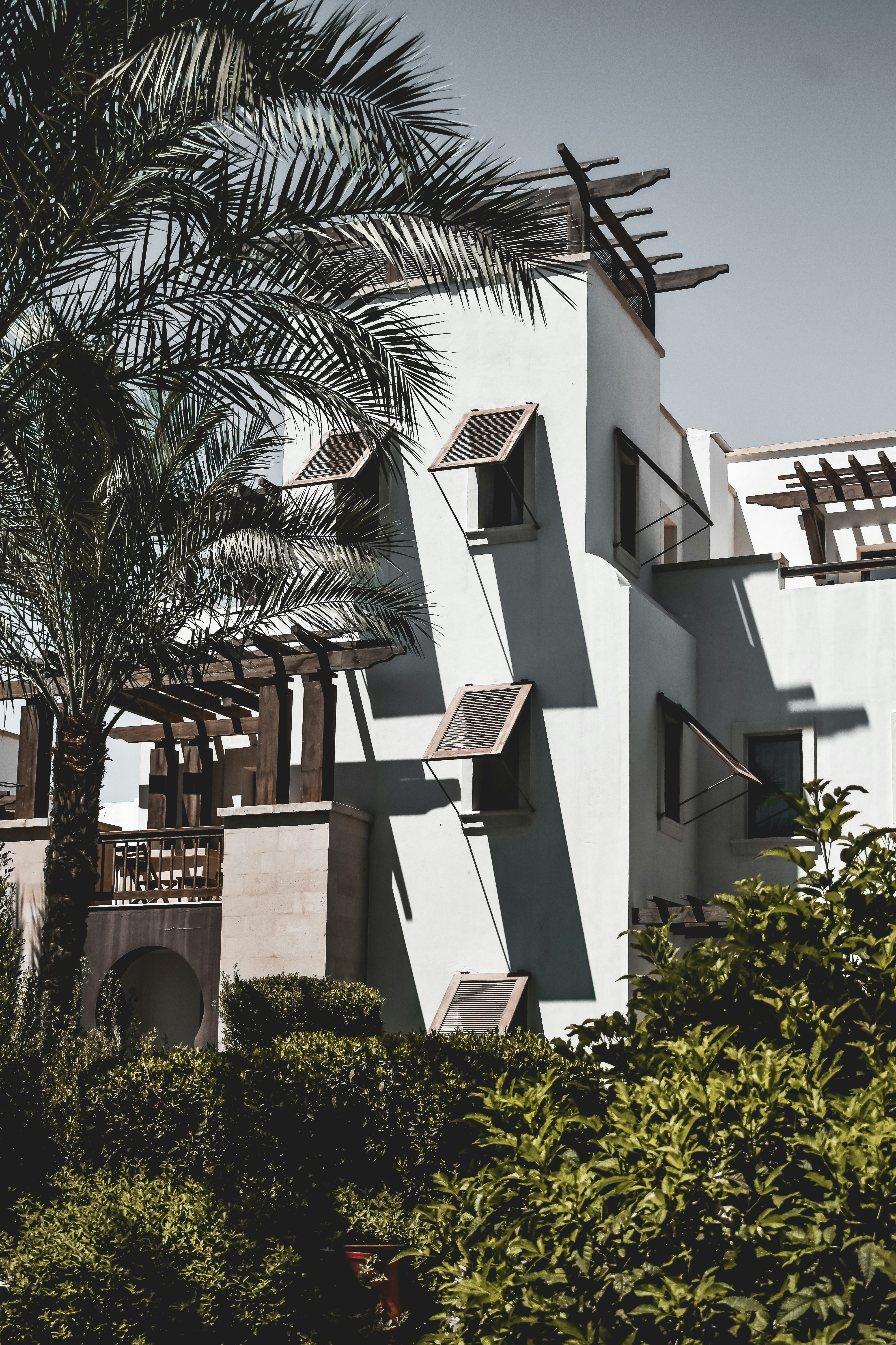 Photo by nourhan_m_sabek