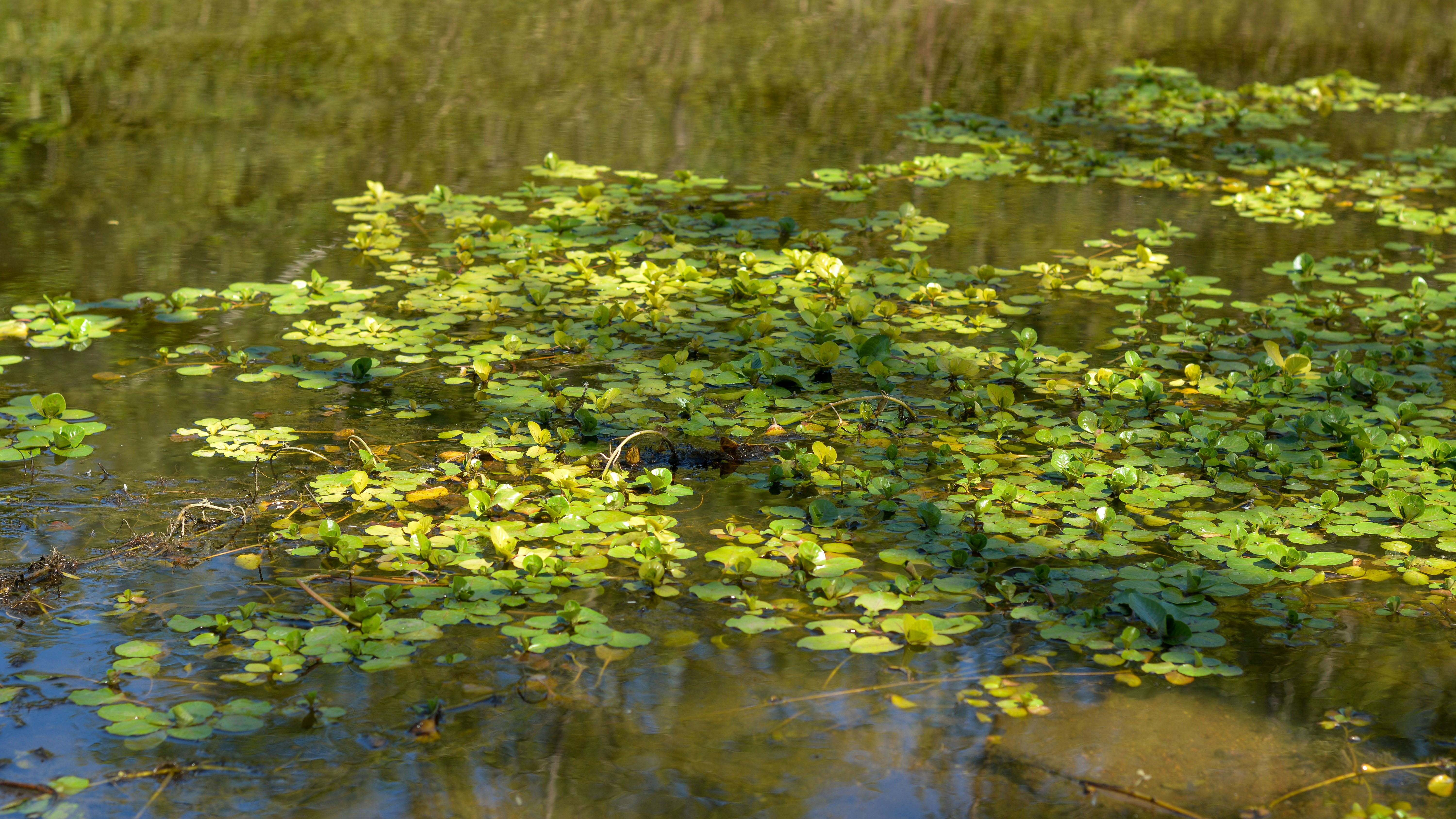 Photo by rominaquintana