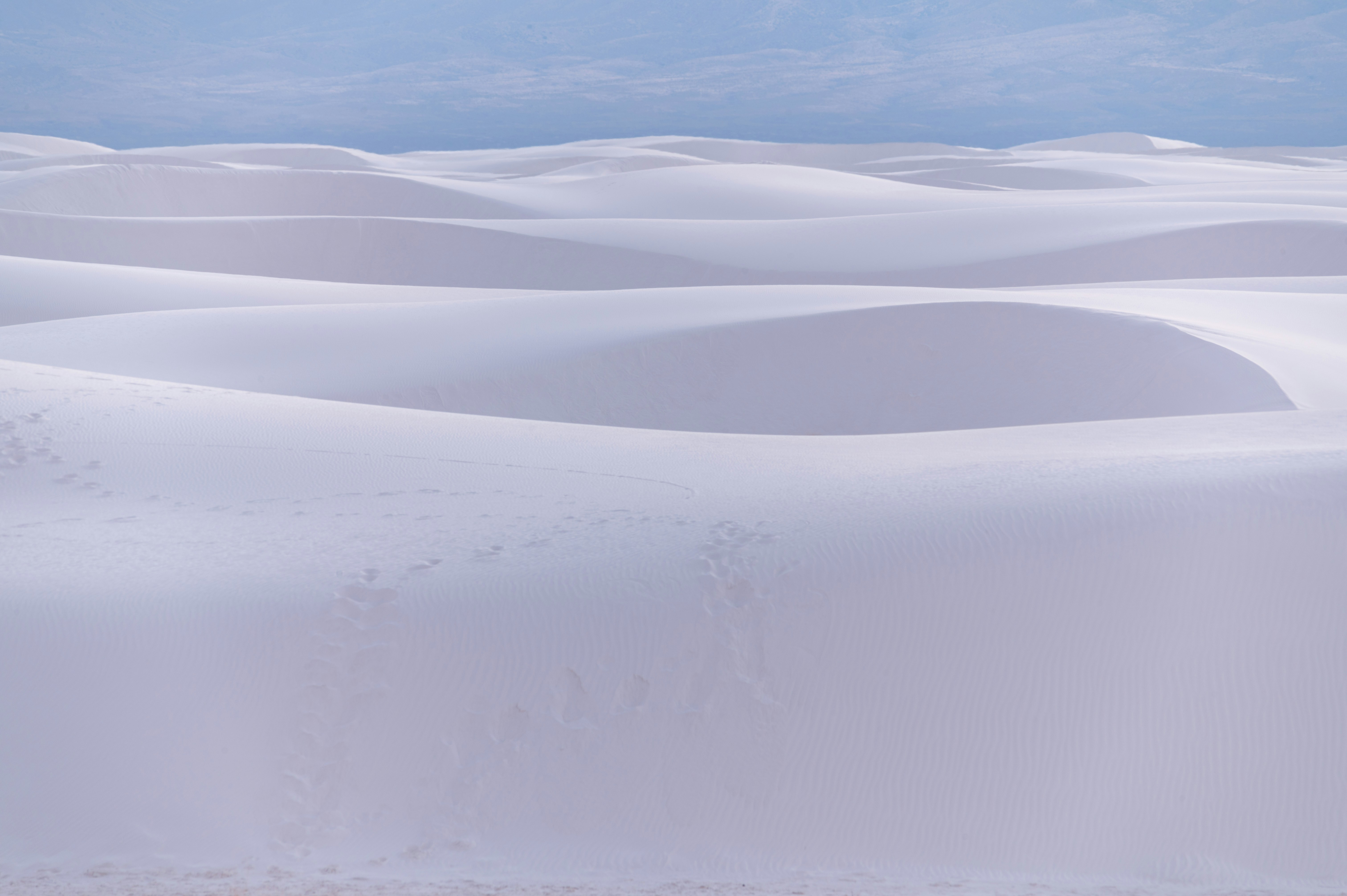 Photo by carrie_borden