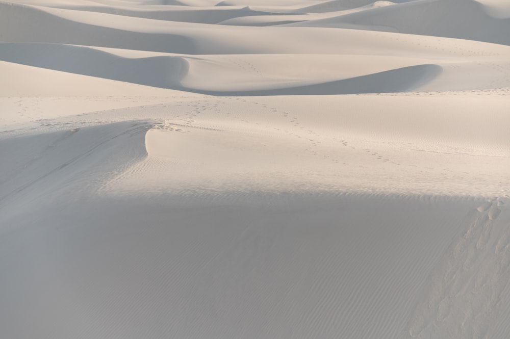 a group of people walking across a snow covered field