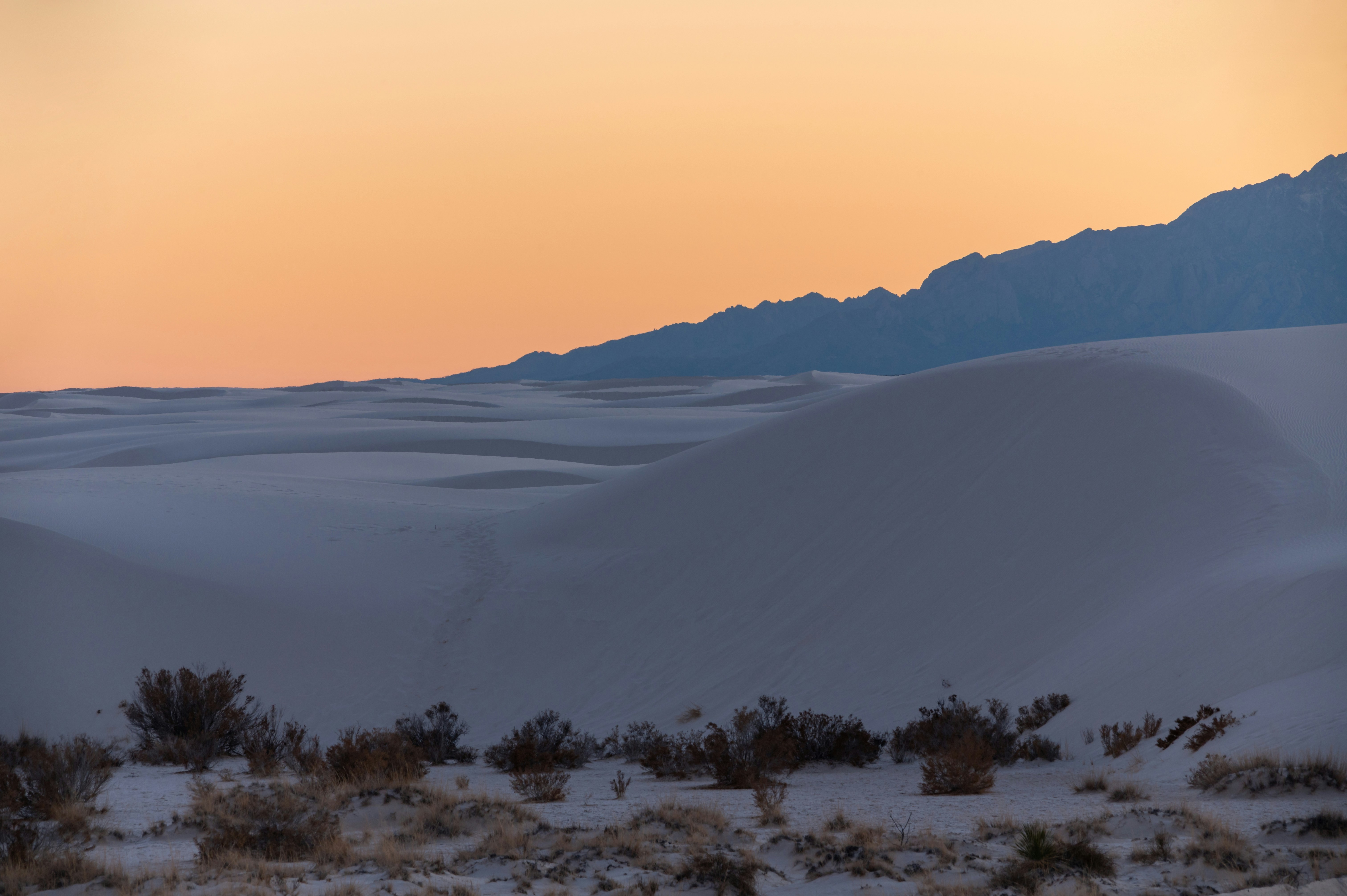 Photo by carrie_borden