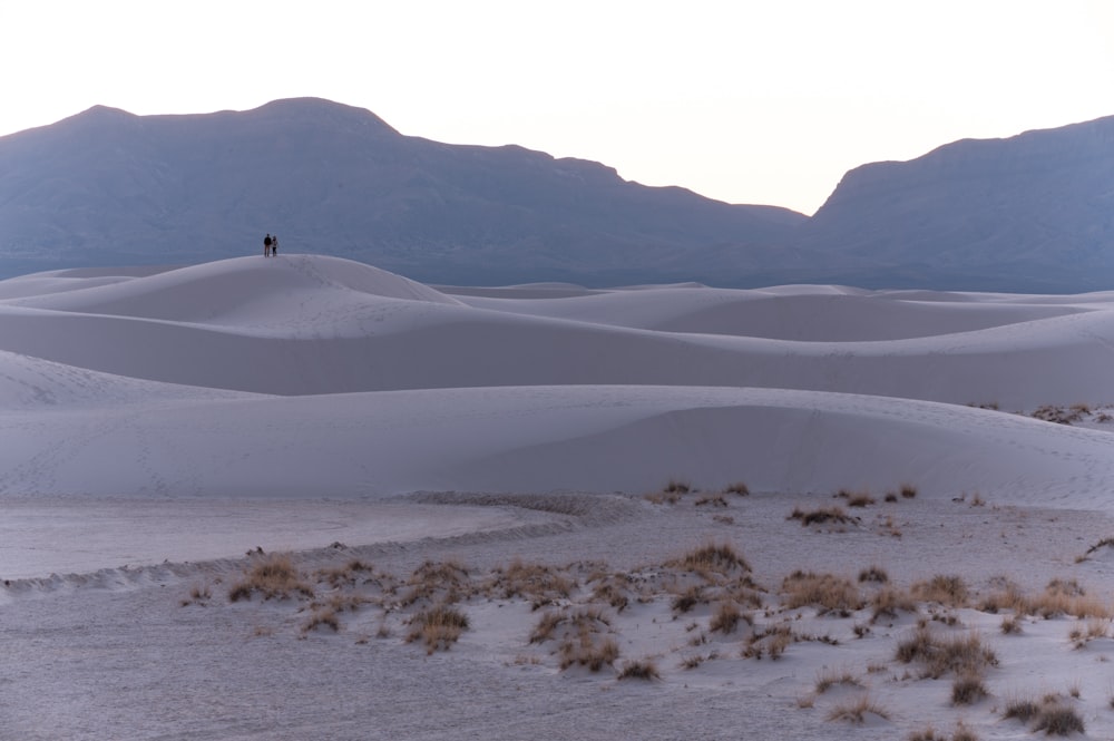 a person standing on top of a sandy hill