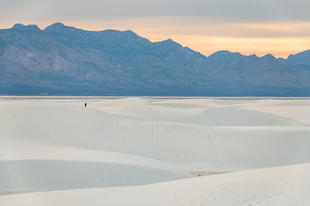 a lone person standing in the middle of a desert