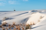A tranquil desert landscape with rolling sand dunes under a clear sky.