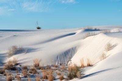 A tranquil desert landscape with rolling sand dunes under a clear sky.