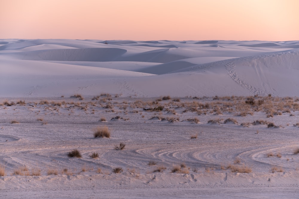 a desert landscape with sand dunes and scrub brush