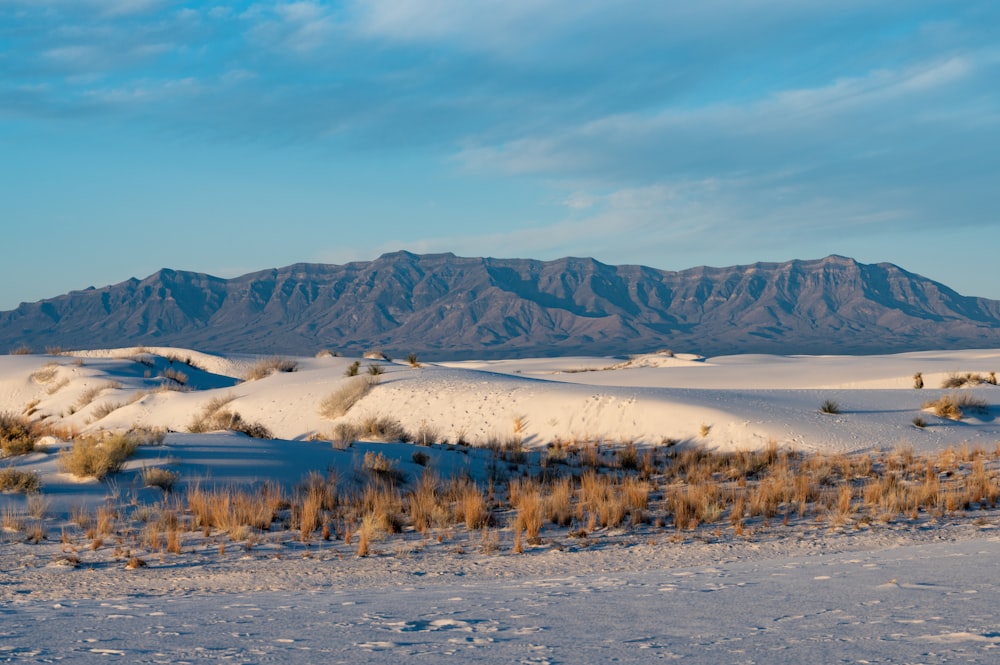 a snow covered field with mountains in the background