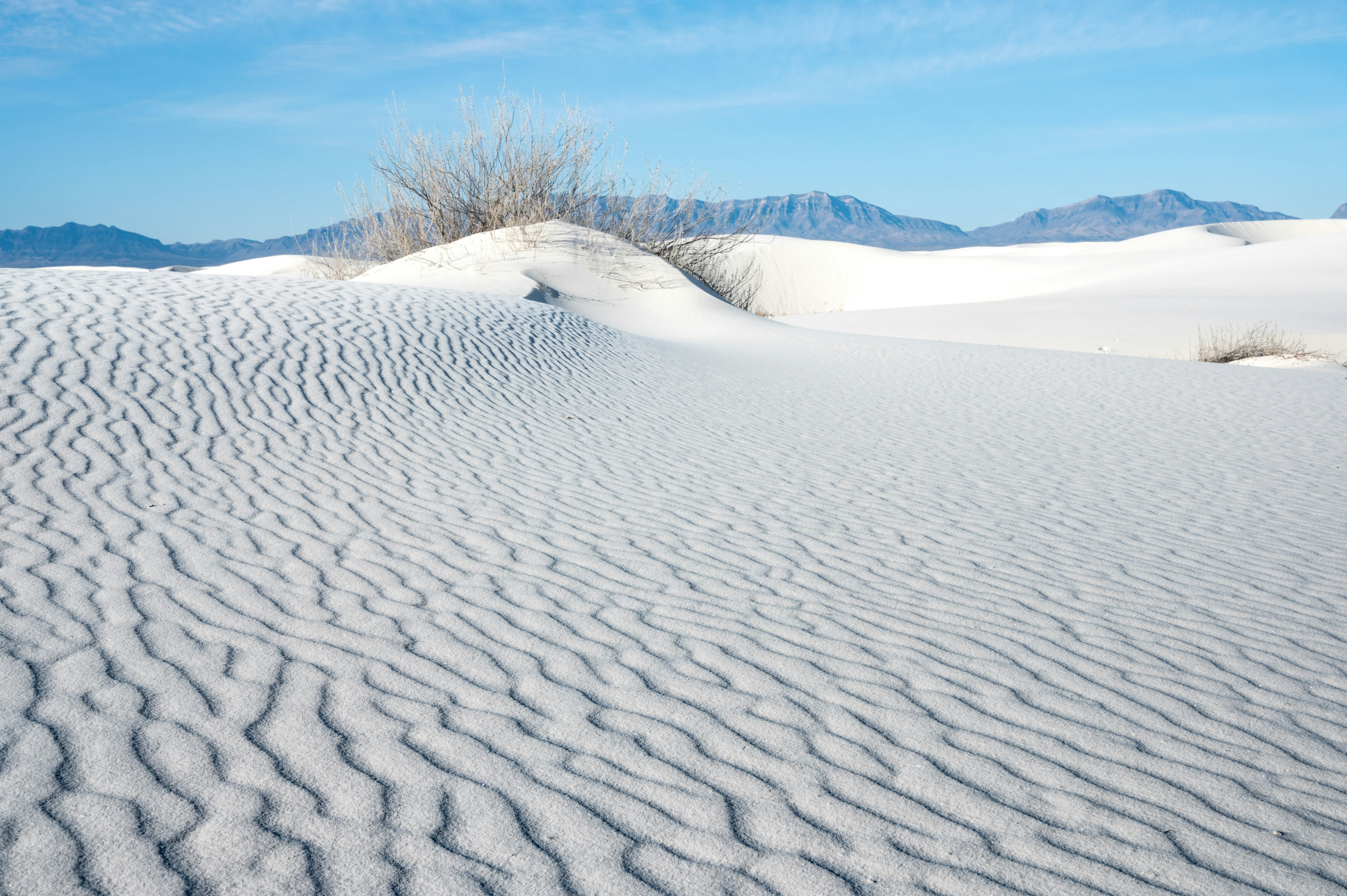 Photo by carrie_borden