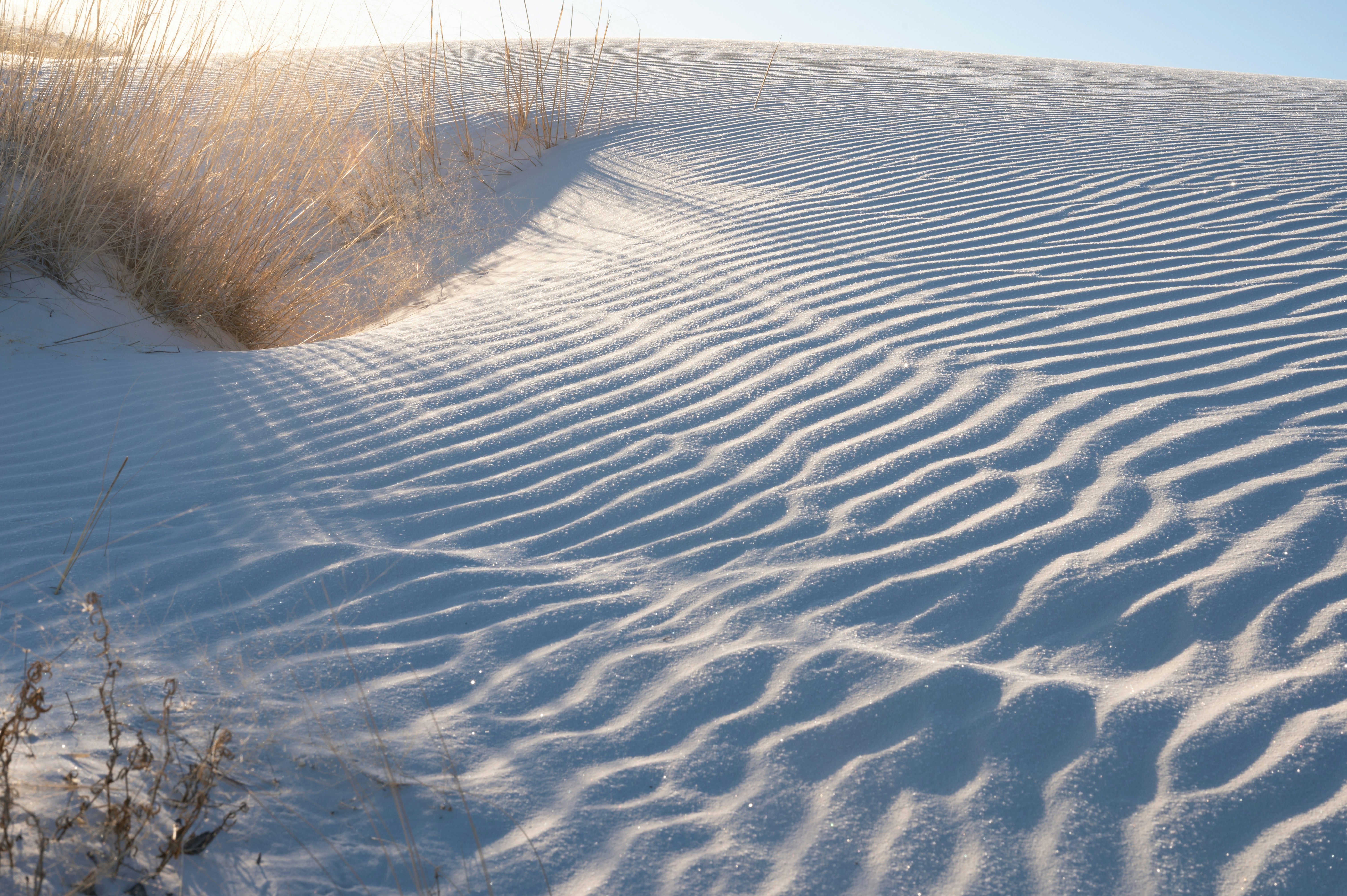 Photo by carrie_borden