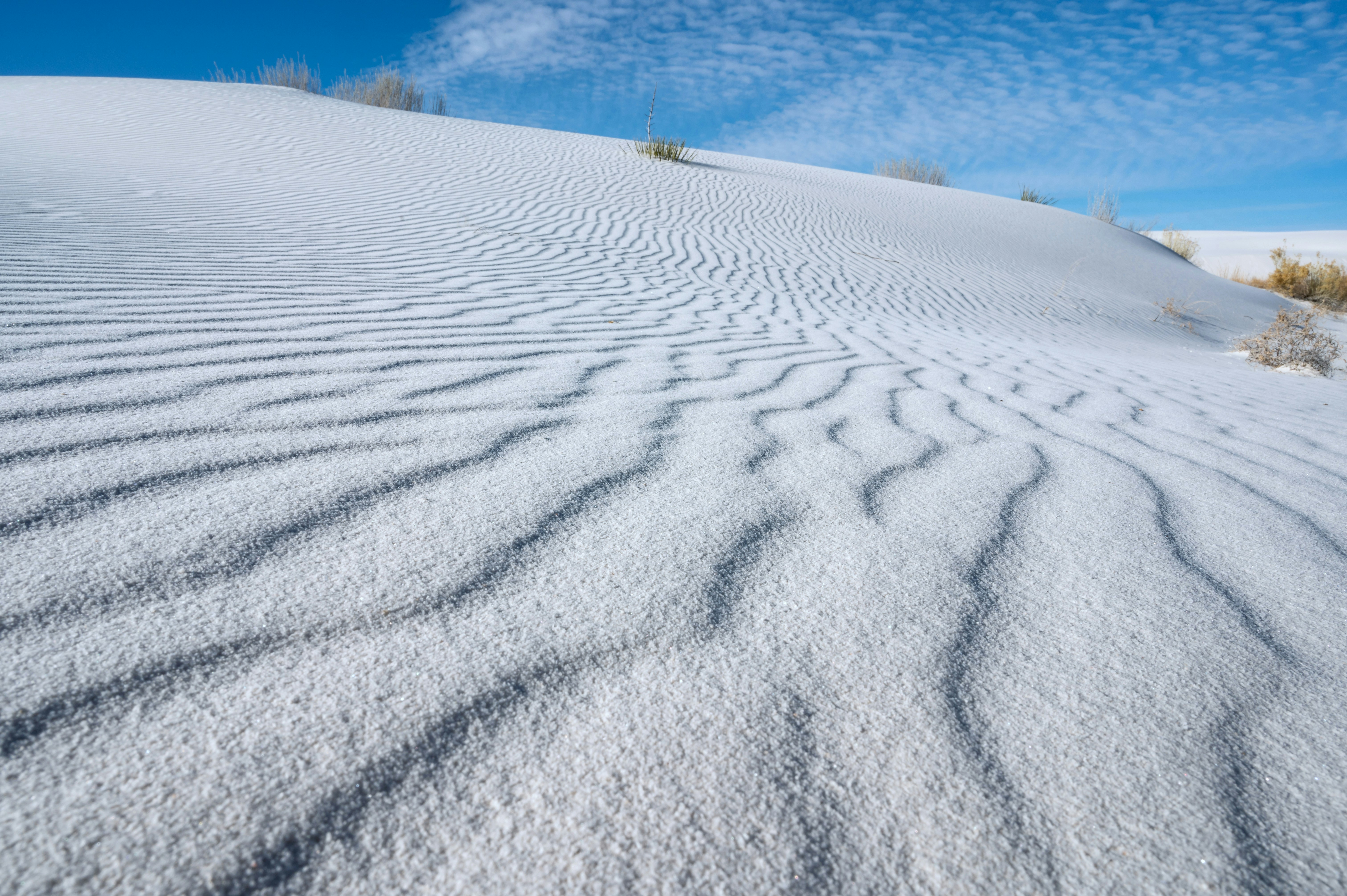 Photo by carrie_borden