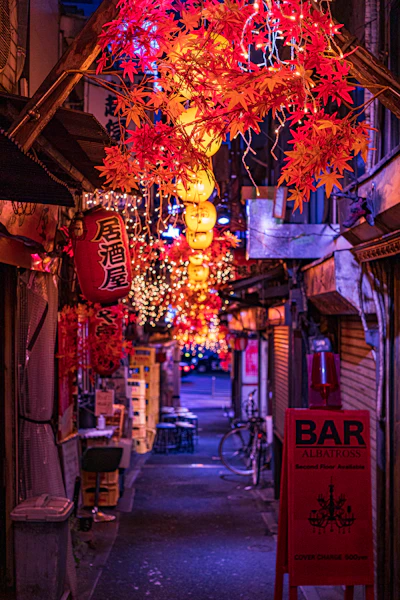 A narrow alley strung with lights, Omoide Yokocho, Tokyo