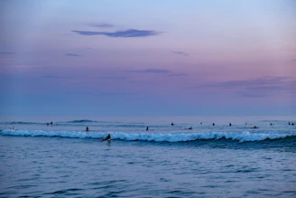 Surfers preparing their boards on a quiet sandy shore at dawn.