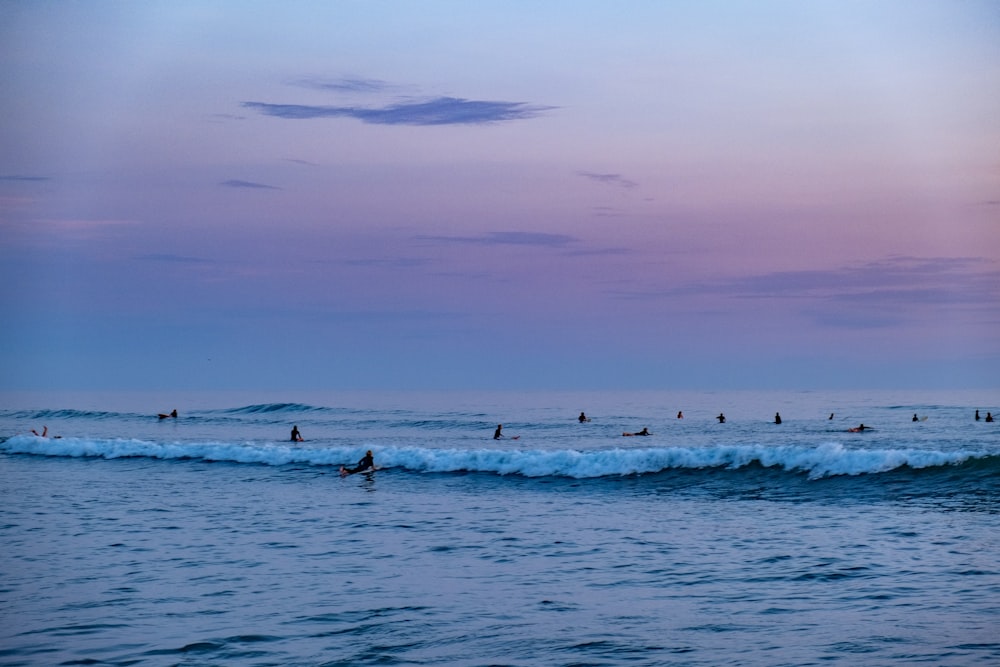 a group of people riding surfboards on top of a wave