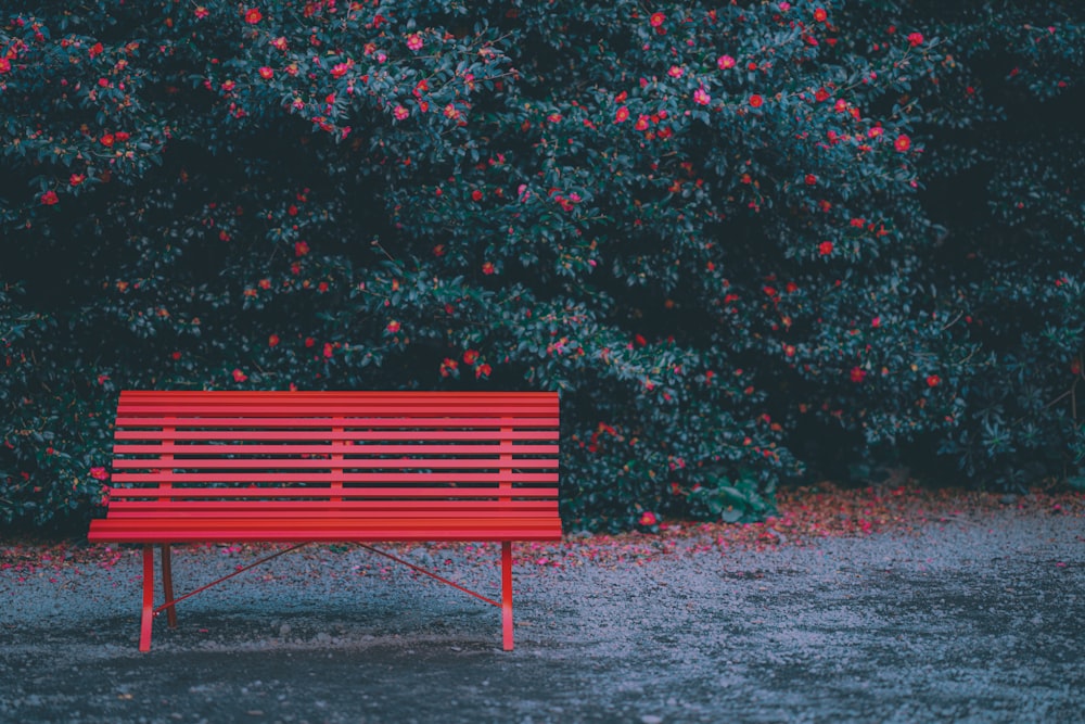 a red bench sitting in front of a bush