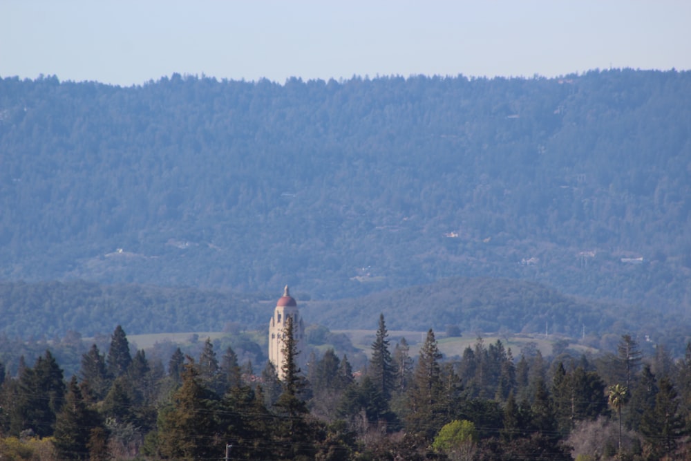a large clock tower in the middle of a forest