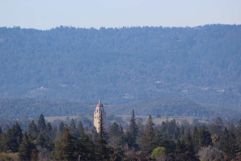 une grande tour de l’horloge au milieu d’une forêt