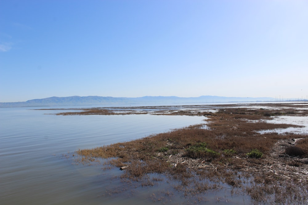 a large body of water surrounded by land