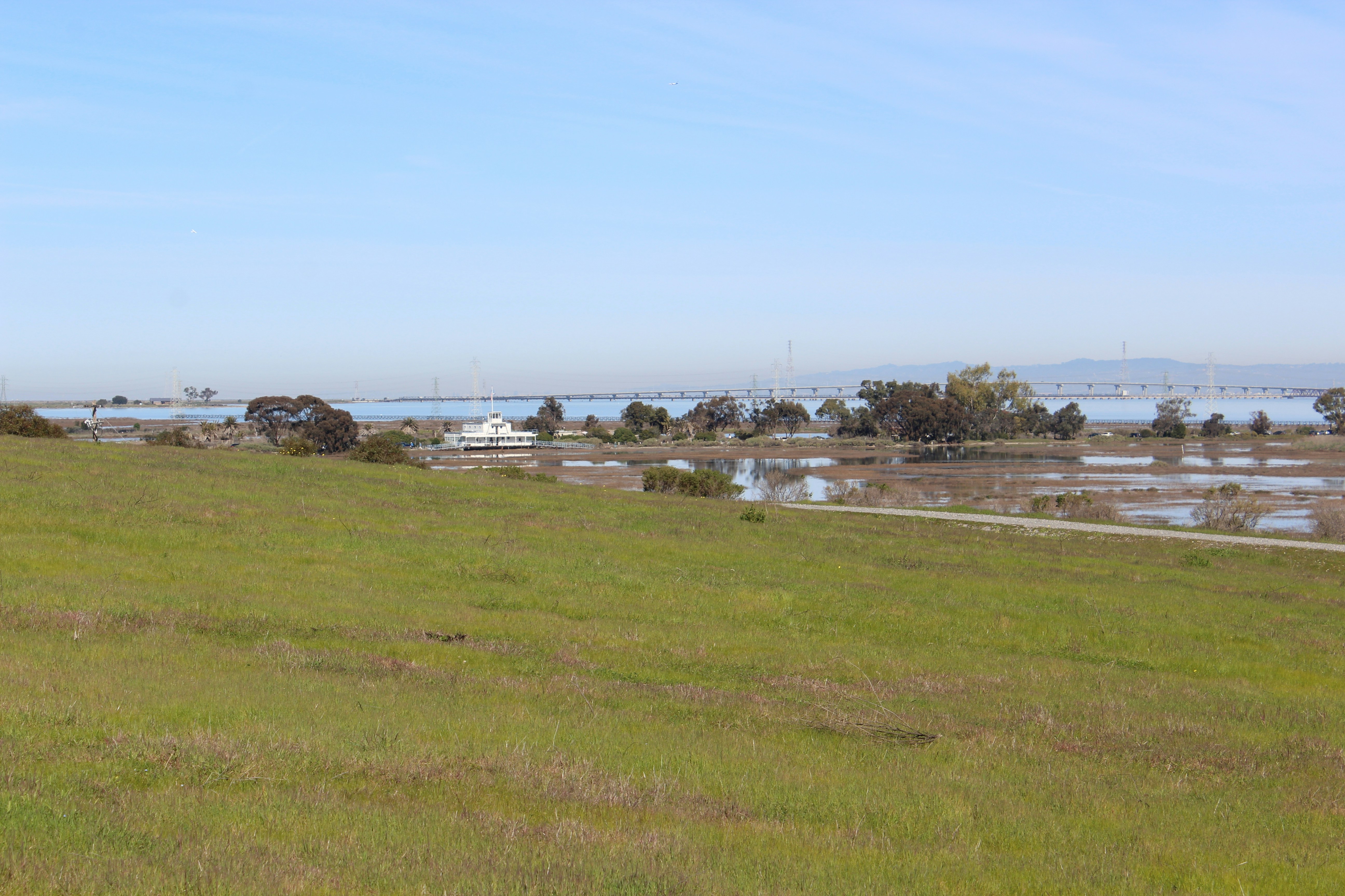 a grassy field with a body of water in the distance