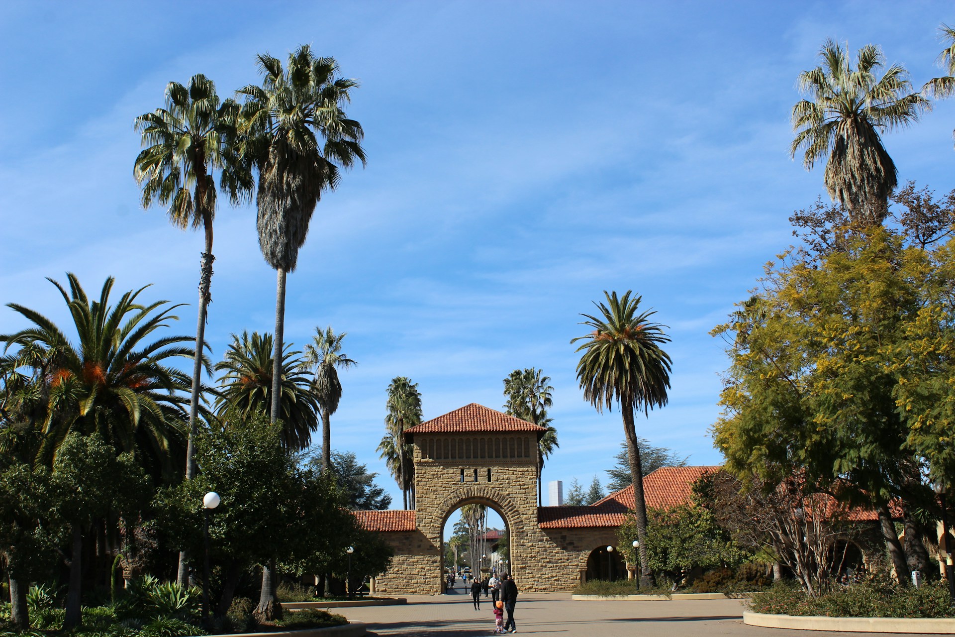 a man riding a bike down a street next to palm trees