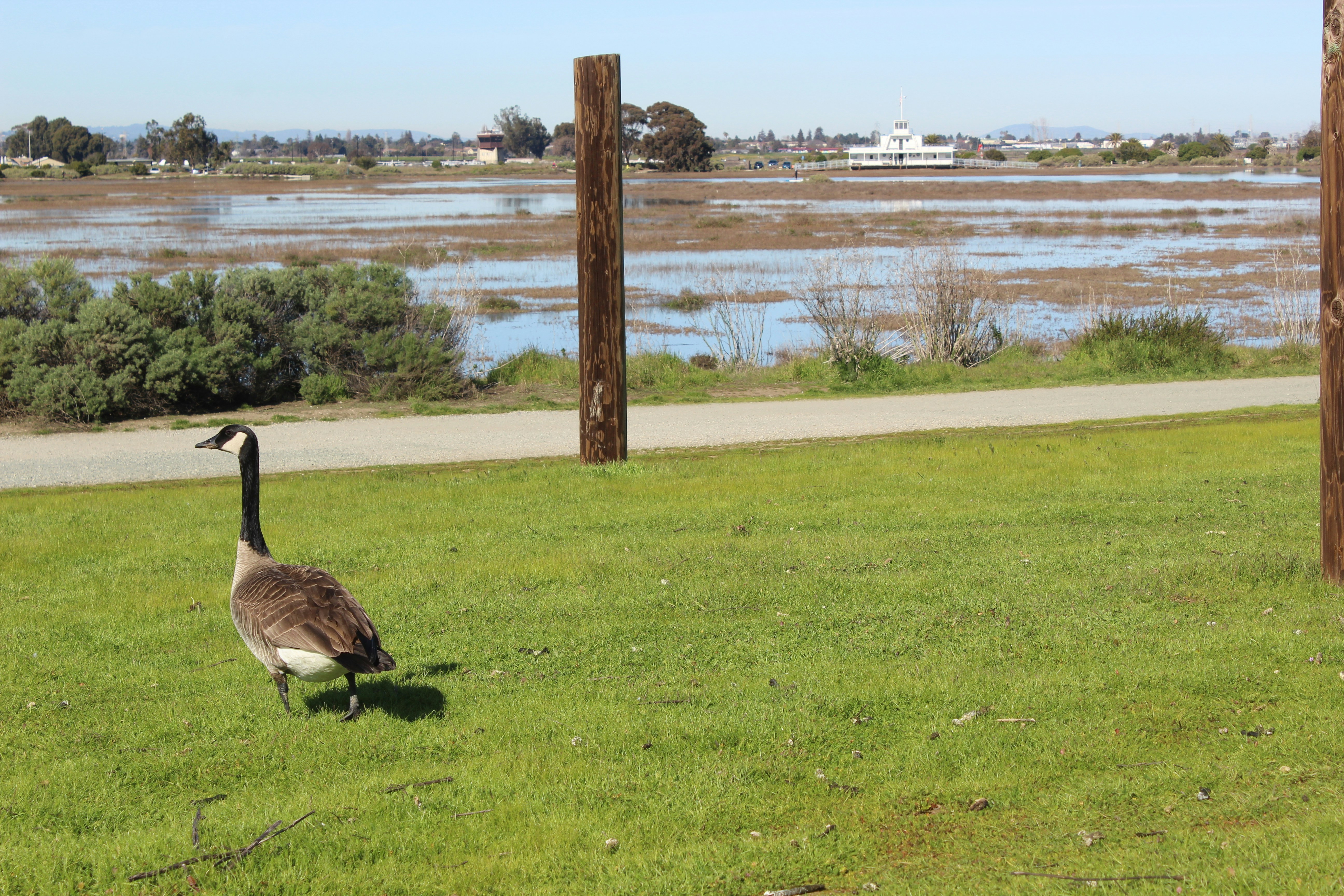 Santa Clara Community Park