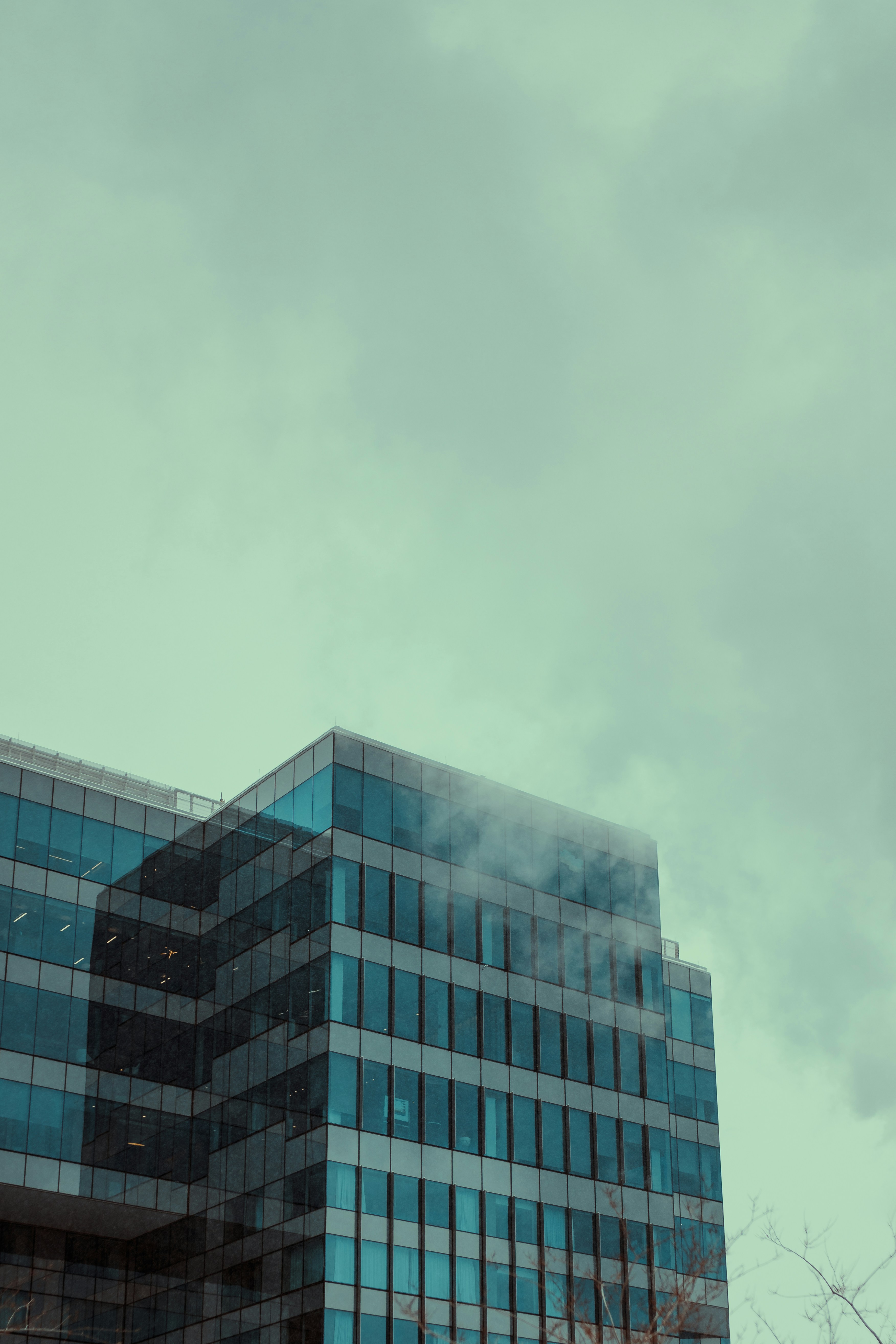 Photo by onthesearchforpineapples