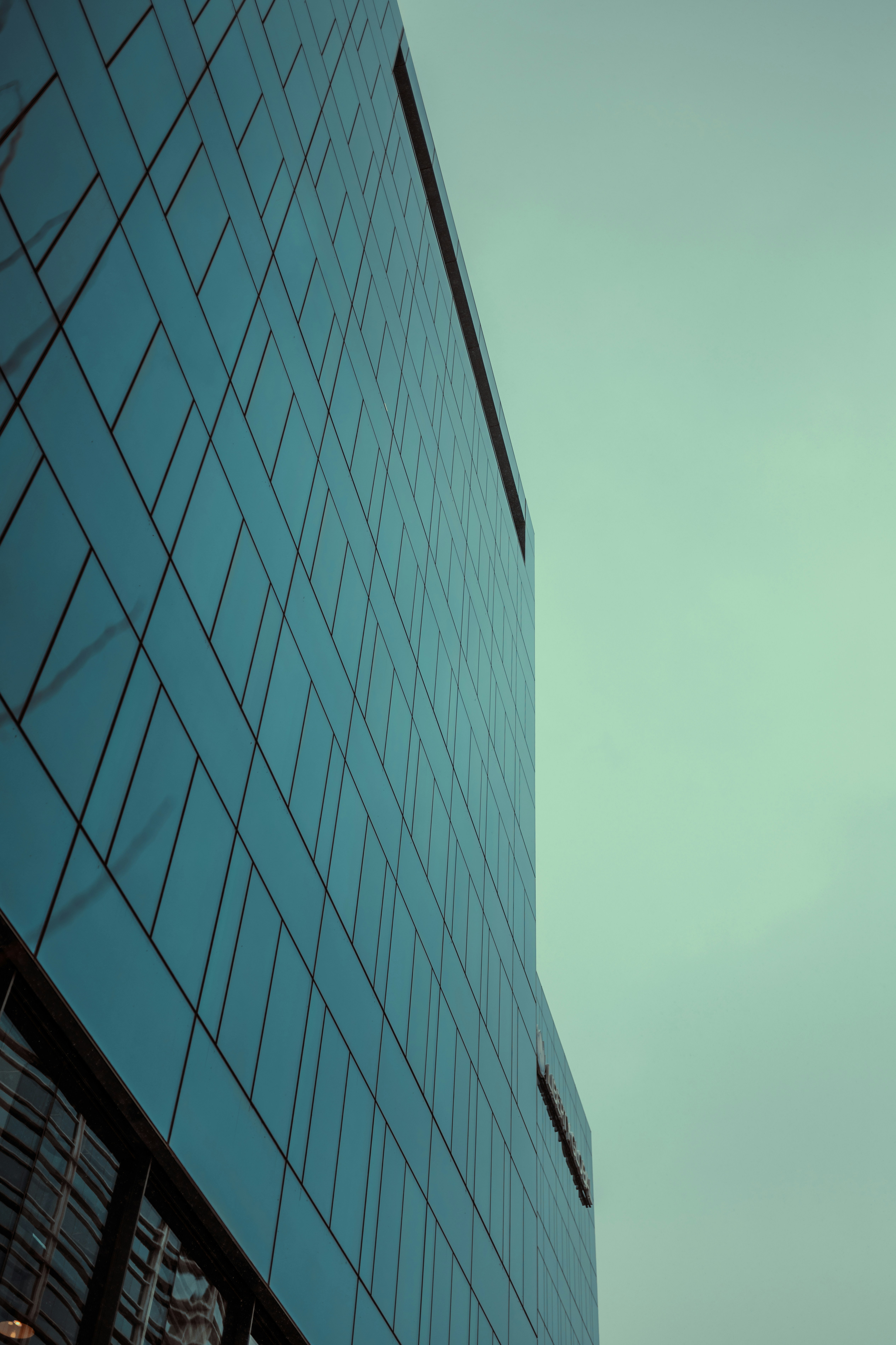 Photo by onthesearchforpineapples