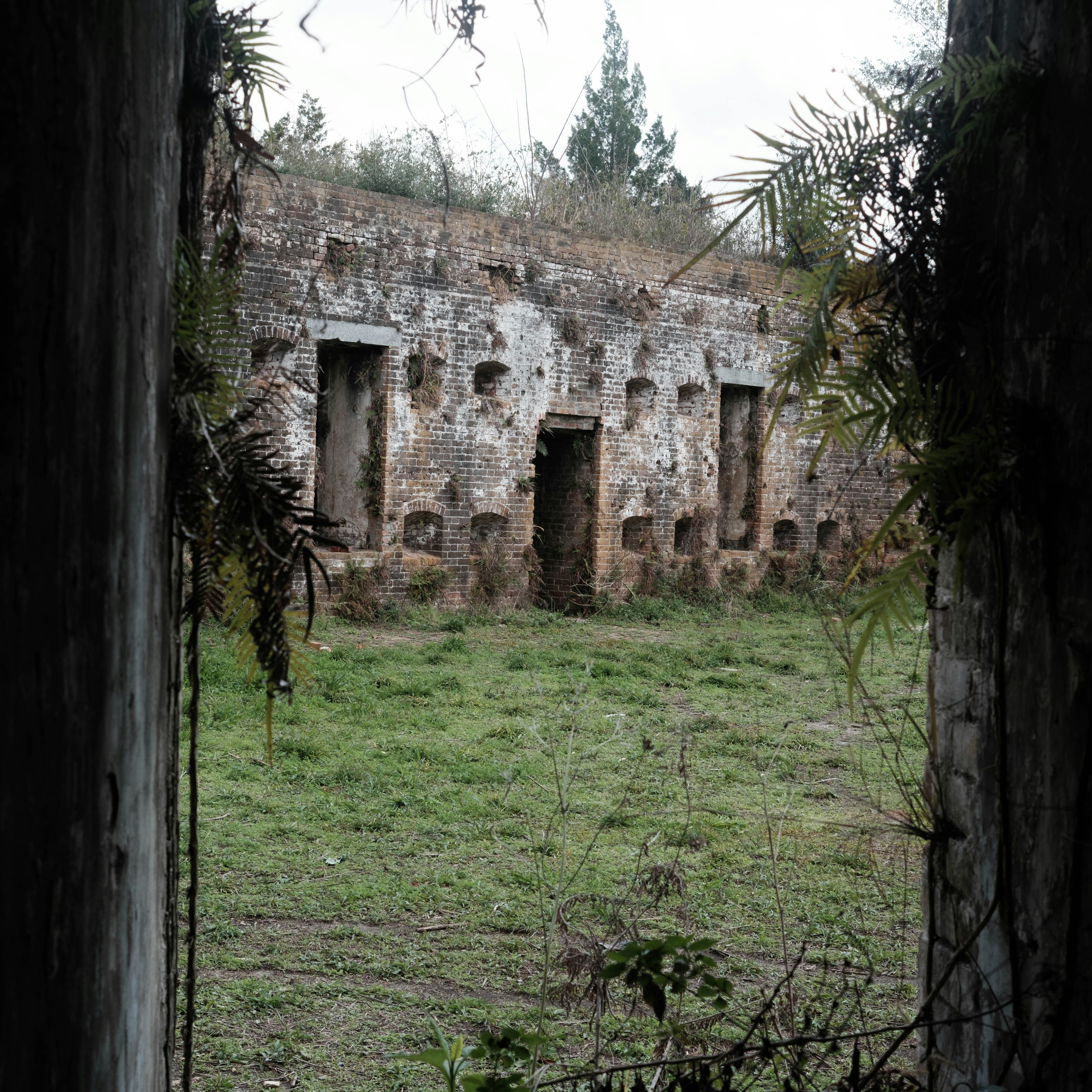 Pictory concept illustration