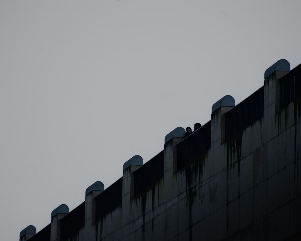 a bird flying over a wall with a sky background