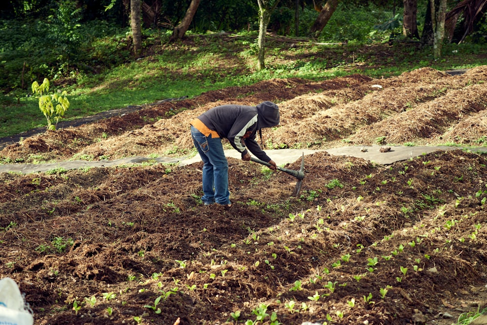 a person digging in a field with a shovel