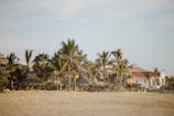Palm trees are scattered across a sandy beach with a backdrop of several villas featuring red-tiled roofs and white walls. The sky is clear with a light blue hue, and some thatched umbrellas can be seen on the beach, providing shade.