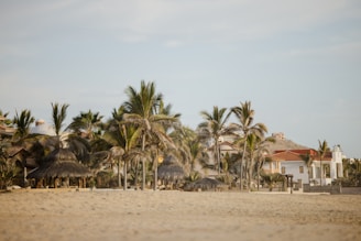 Palm trees are scattered across a sandy beach with a backdrop of several villas featuring red-tiled roofs and white walls. The sky is clear with a light blue hue, and some thatched umbrellas can be seen on the beach, providing shade.