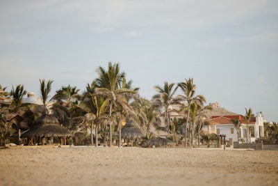 Palm trees are scattered across a sandy beach with a backdrop of several villas featuring red-tiled roofs and white walls. The sky is clear with a light blue hue, and some thatched umbrellas can be seen on the beach, providing shade.