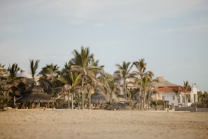 Palm trees are scattered across a sandy beach with a backdrop of several villas featuring red-tiled roofs and white walls. The sky is clear with a light blue hue, and some thatched umbrellas can be seen on the beach, providing shade.