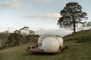 A transparent bubble tent is situated on a grassy wooden platform amidst an open landscape. Tall trees and a hilly backdrop contribute to the scenic outdoor setting. The sky is partially cloudy, adding to the serene ambiance of the location.
