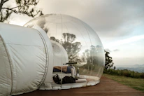 A cozy glamping dome nestled in the middle of a vibrant forest.