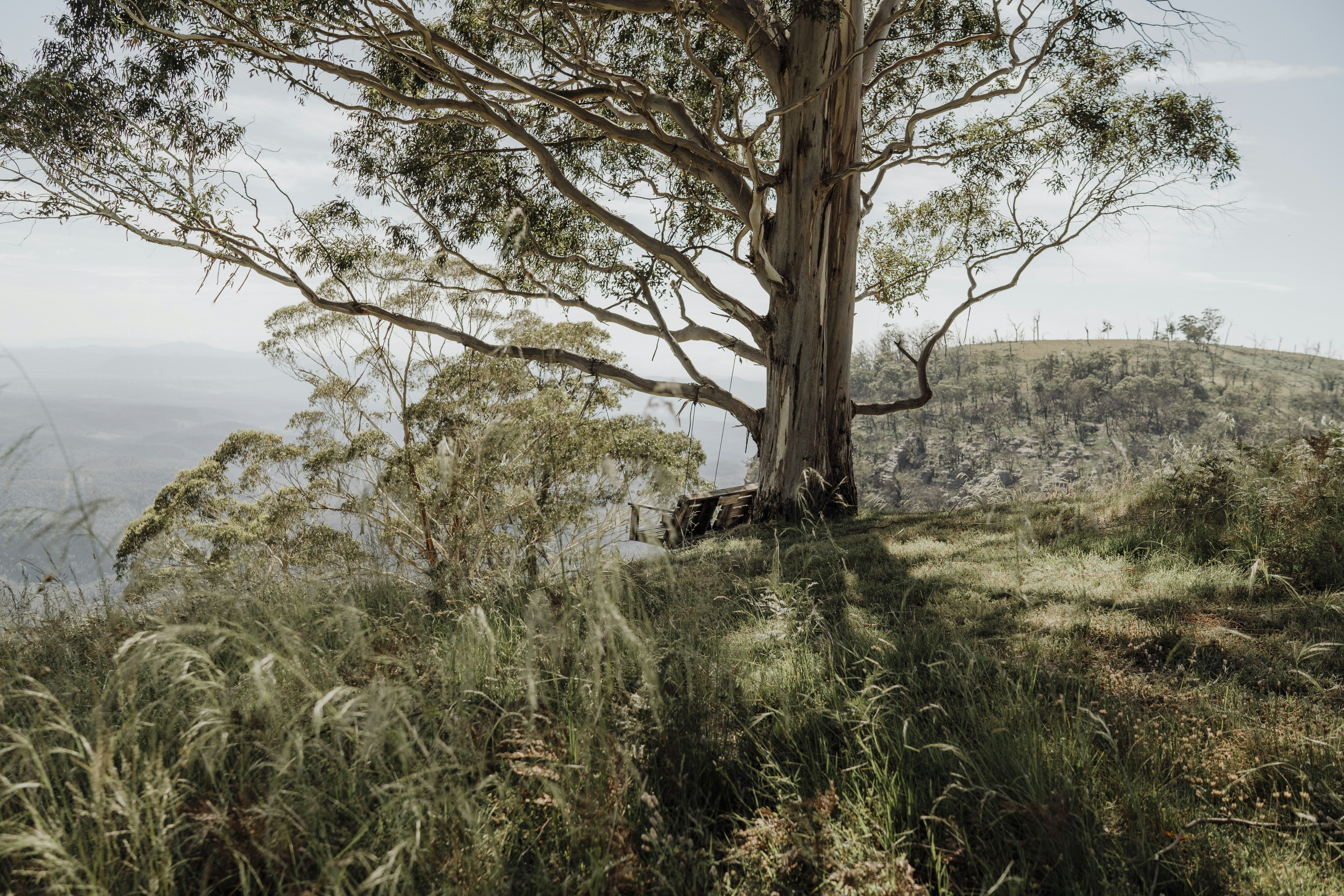 australian wedding landscape, wallpaper, How to Plan a Wedding in Australia: Complete Step-by-Step Guide 3