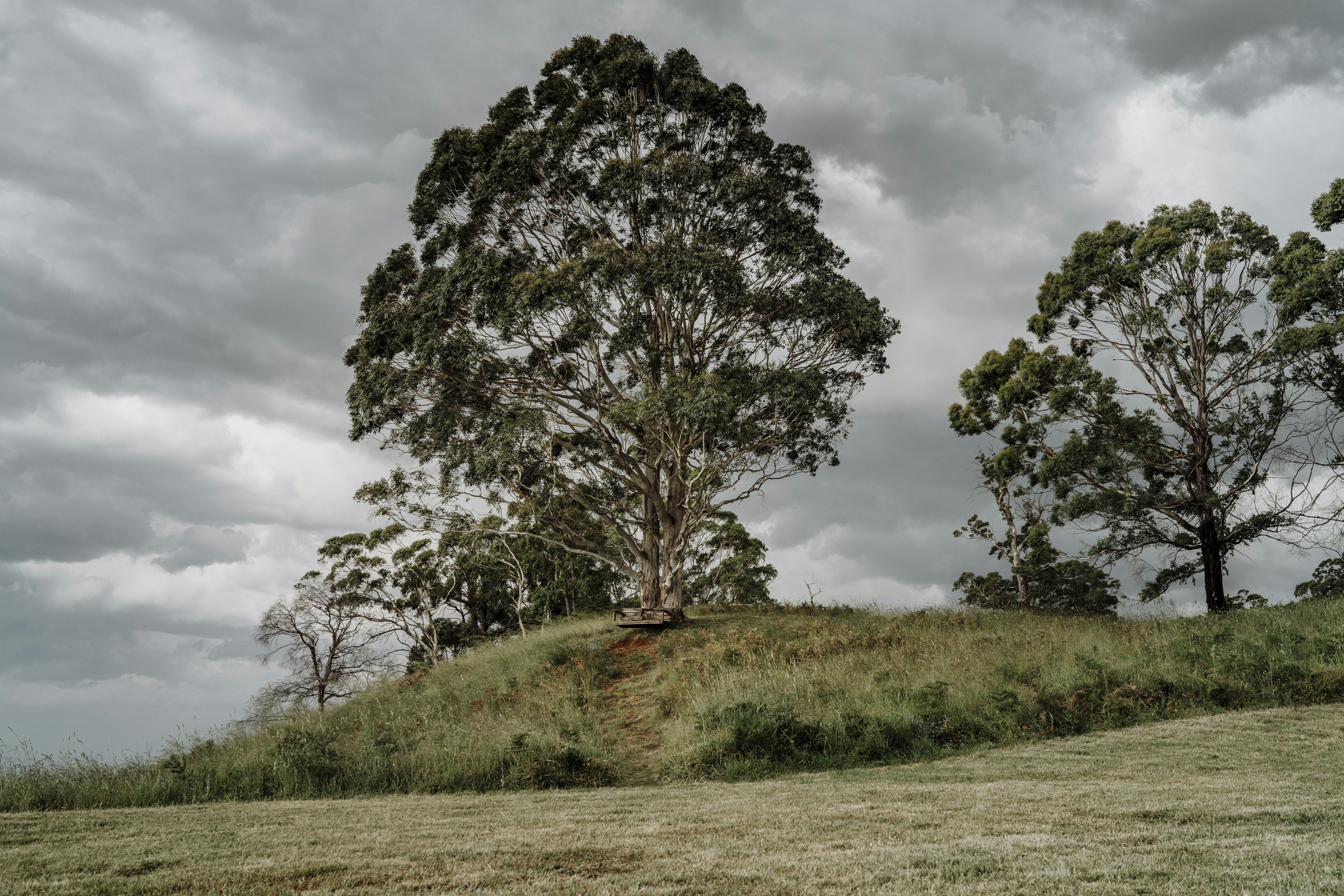 Photo by nerissa_j_photography